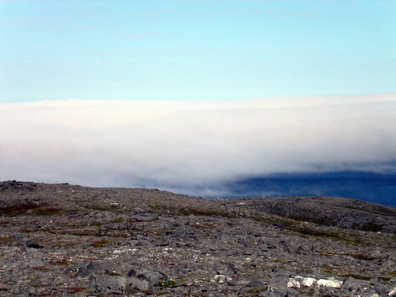 Stratus